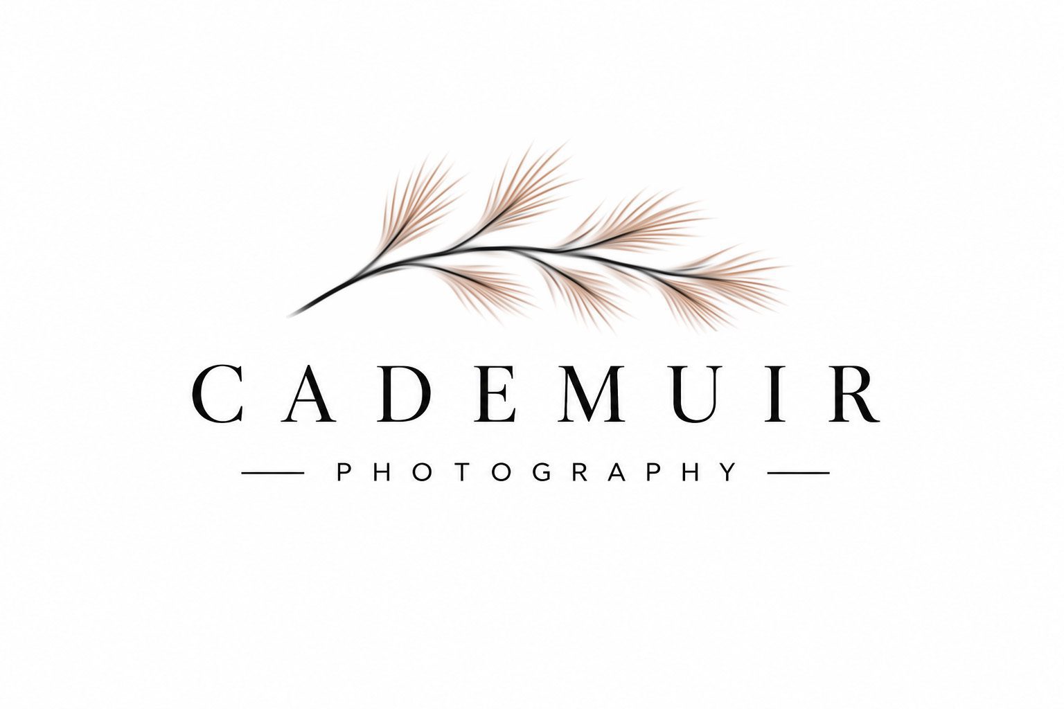 Cademuir photography logo with pine branch